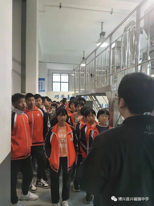 強化實踐育人意識,完善實踐教學體系 興福鎮(zhèn)中學初二學生社會實踐活動紀實